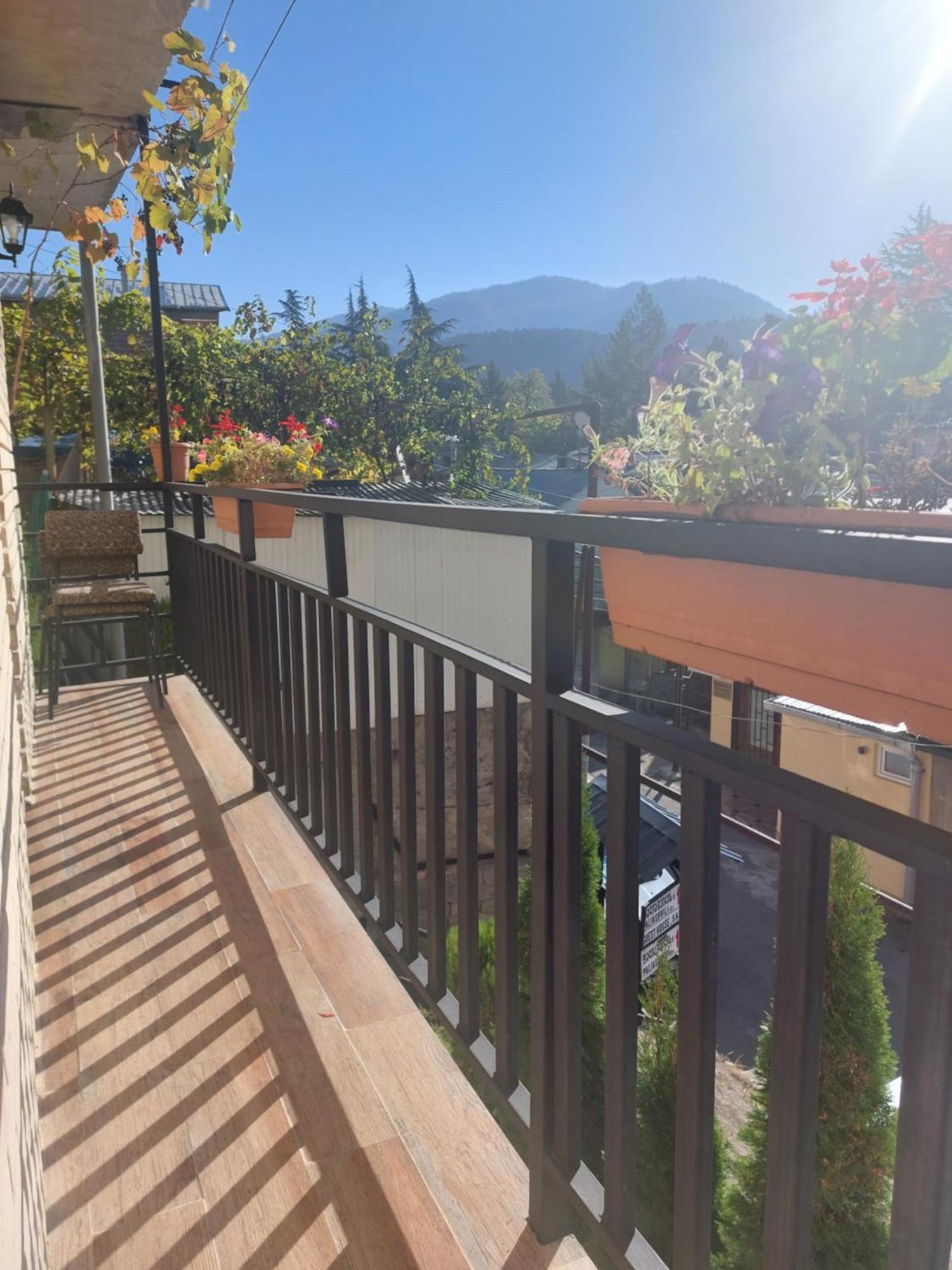 Guesthouse Saba Bordzjomi Buitenkant foto