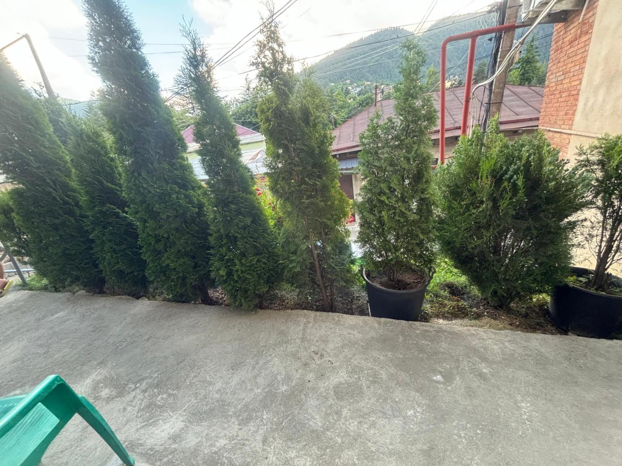 Guesthouse Saba Bordzjomi Buitenkant foto